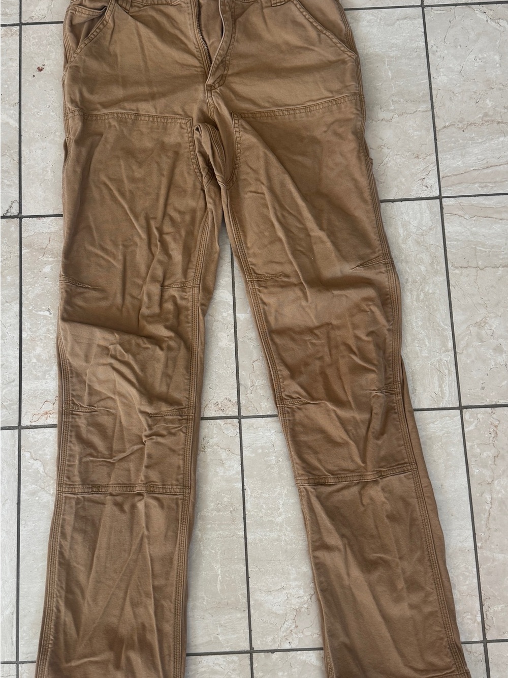 Carhartt Men's Cargo Work Pants in Brown